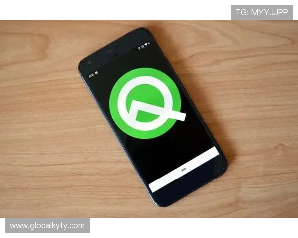 云体育app官网入口安全登录技巧与注意事项保障用户账号安全与隐私保护